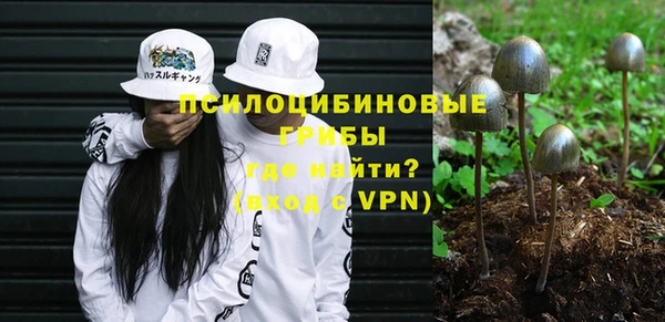 гидра Балабаново