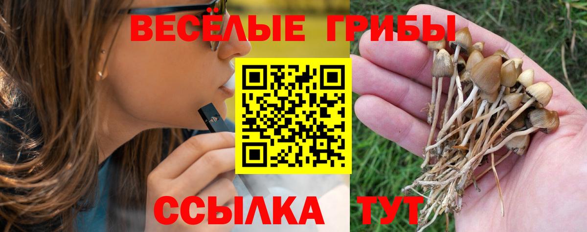 Псилоцибиновые грибы GOLDEN TEACHER  Вход с VPN  Кувандык 