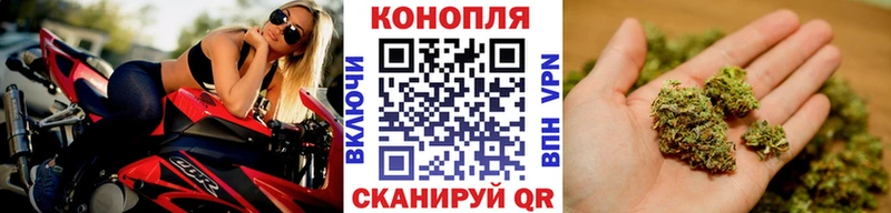 это состав  Кувандык  Шишки марихуана MAZAR 