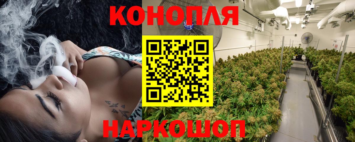 Бошки Шишки SATIVA & INDICA  Марихуана Bruce Banner  Бошки марихуана тримм  Кувандык  Вход с VPN  Каннабис Bruce Banner 